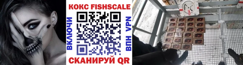 COCAIN Fish Scale  закладка  дарк нет наркотические препараты  Котлас 