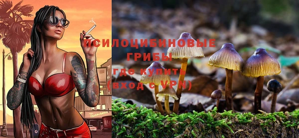 прущая мука Богданович