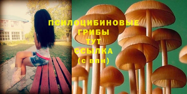 герыч Богородицк
