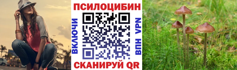 Псилоцибиновые грибы Cubensis  Котлас 